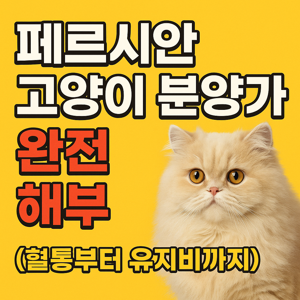 페르시안 고양이