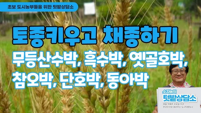 동아 재배 덩굴 손질 지주 설치 수분 관리_2