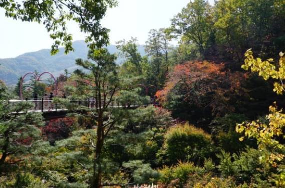 디지털 온누리 캐시백&amp;#44; 쓰기만 해도 돈이 쌓여요