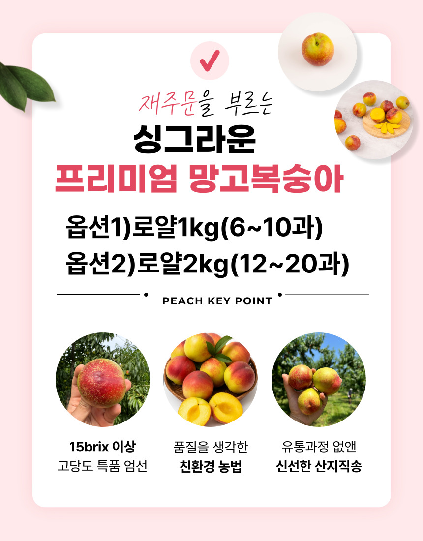 옐로드림 망고 복숭아 옵션