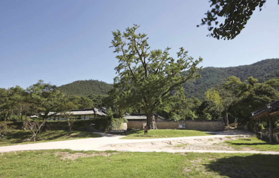 한국에서 가장 오래된 한옥, 해남 녹우당