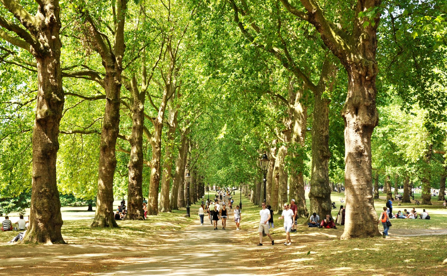 교사 추천 교육 영화 관련 사진