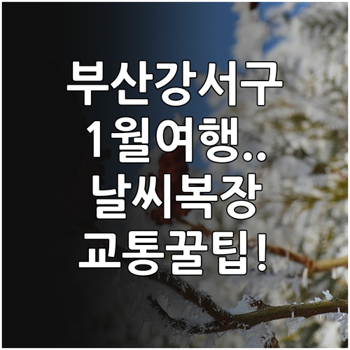 부산 강서구 1월 여행 날씨와 복장 ..