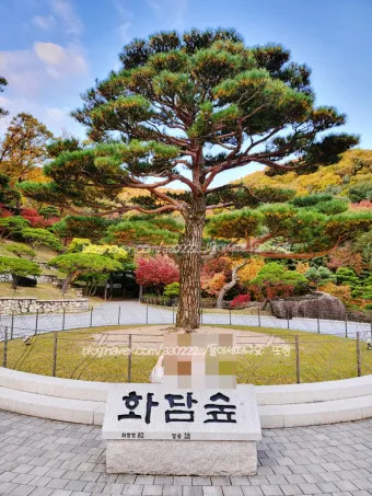 화담숲 예약하기 예약 방법 입장료 모노레일_16