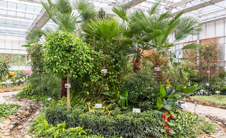 보령 무궁화수목원