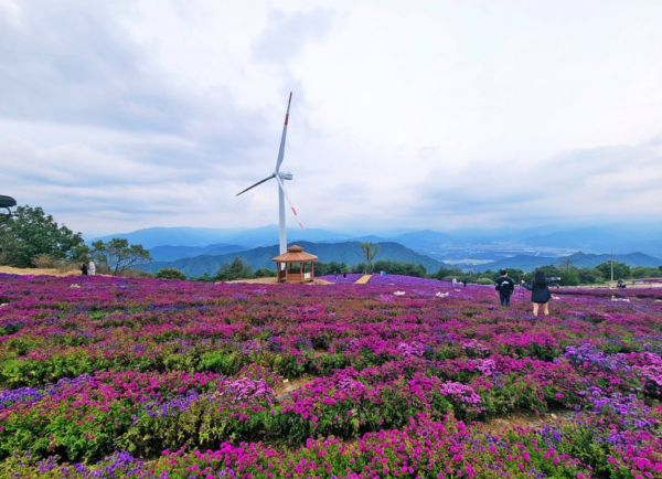 경남 거창 꽃별 여행축제