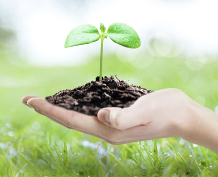 자연과의 지속가능한 삶