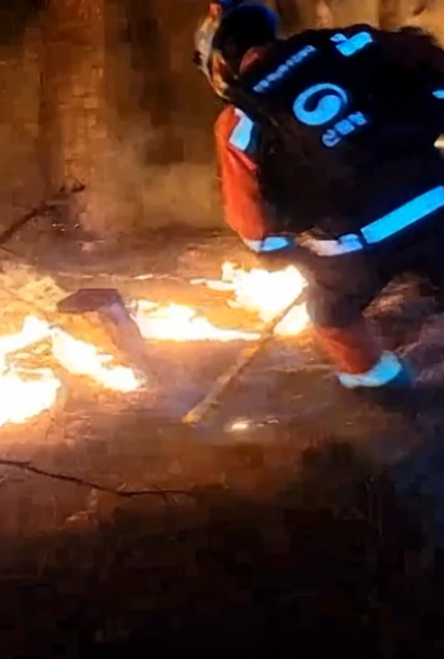 진화 작업 사진