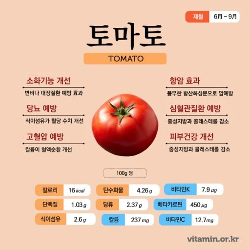 토마토 효능 이미지 입니다.
