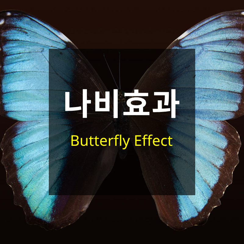 나비효과