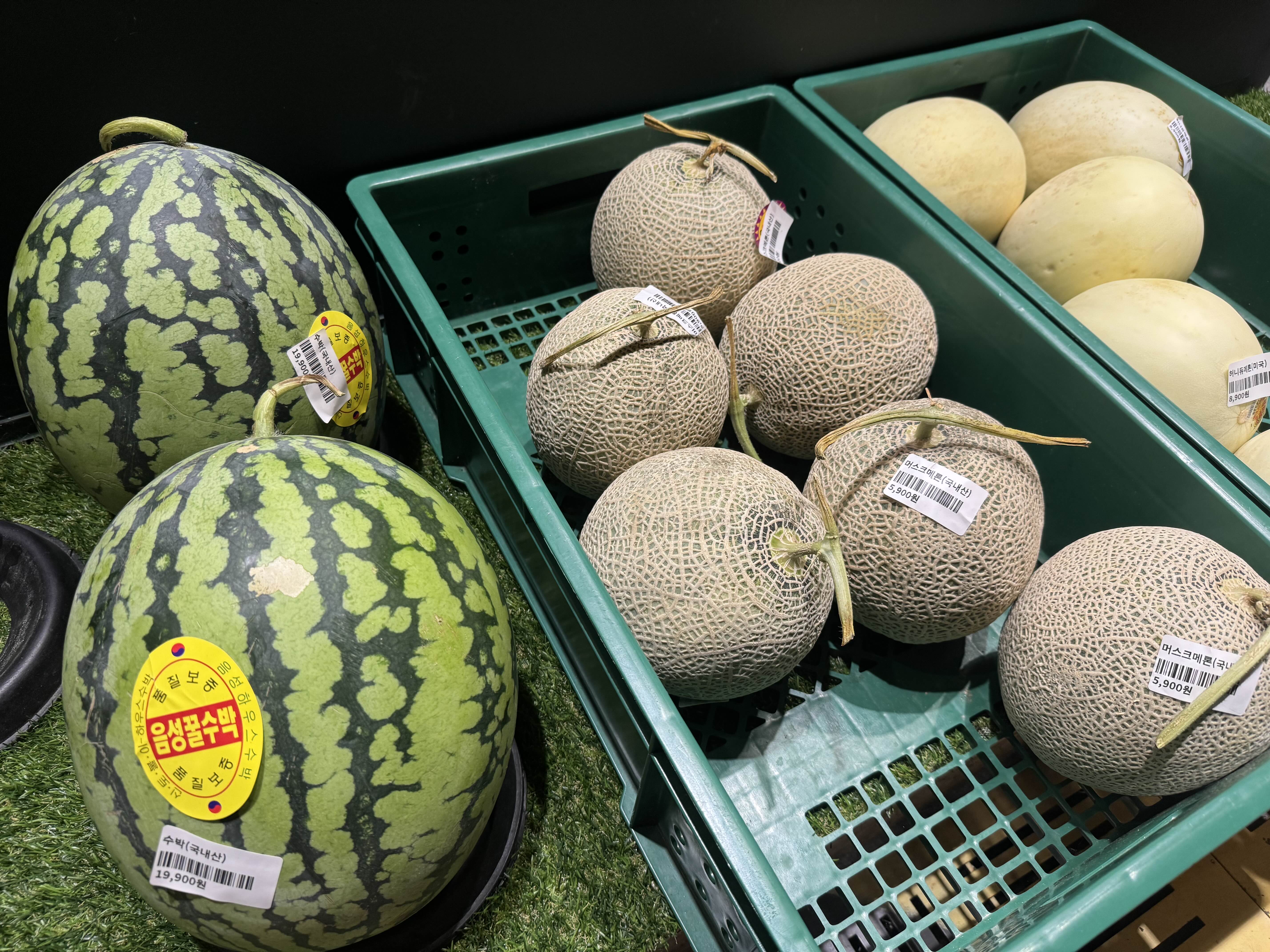 수박, 멜론