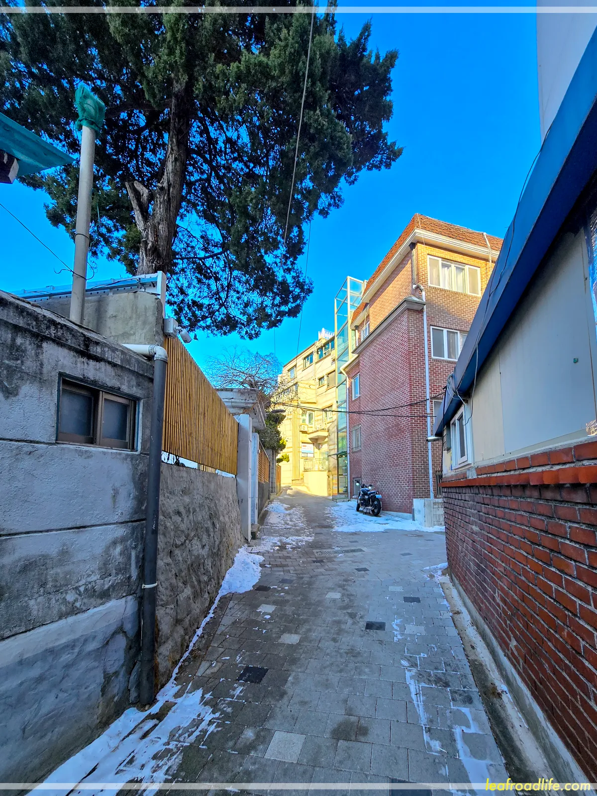 동대문구-전농동-브런치-카페-오래-가는-골목길