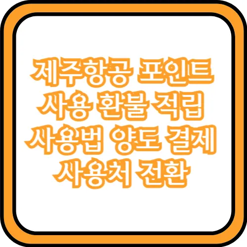 제주항공 포인트 사용법