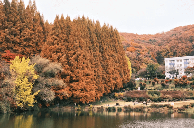 가을 여행 할인 총정리: 교통&amp;#44; 숙박비 최대 50% 아끼는 법