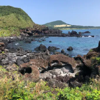 4월 제주도 가볼만한곳 2025년 10선_9