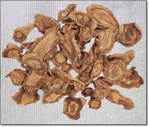 건방풍나물 뿌리