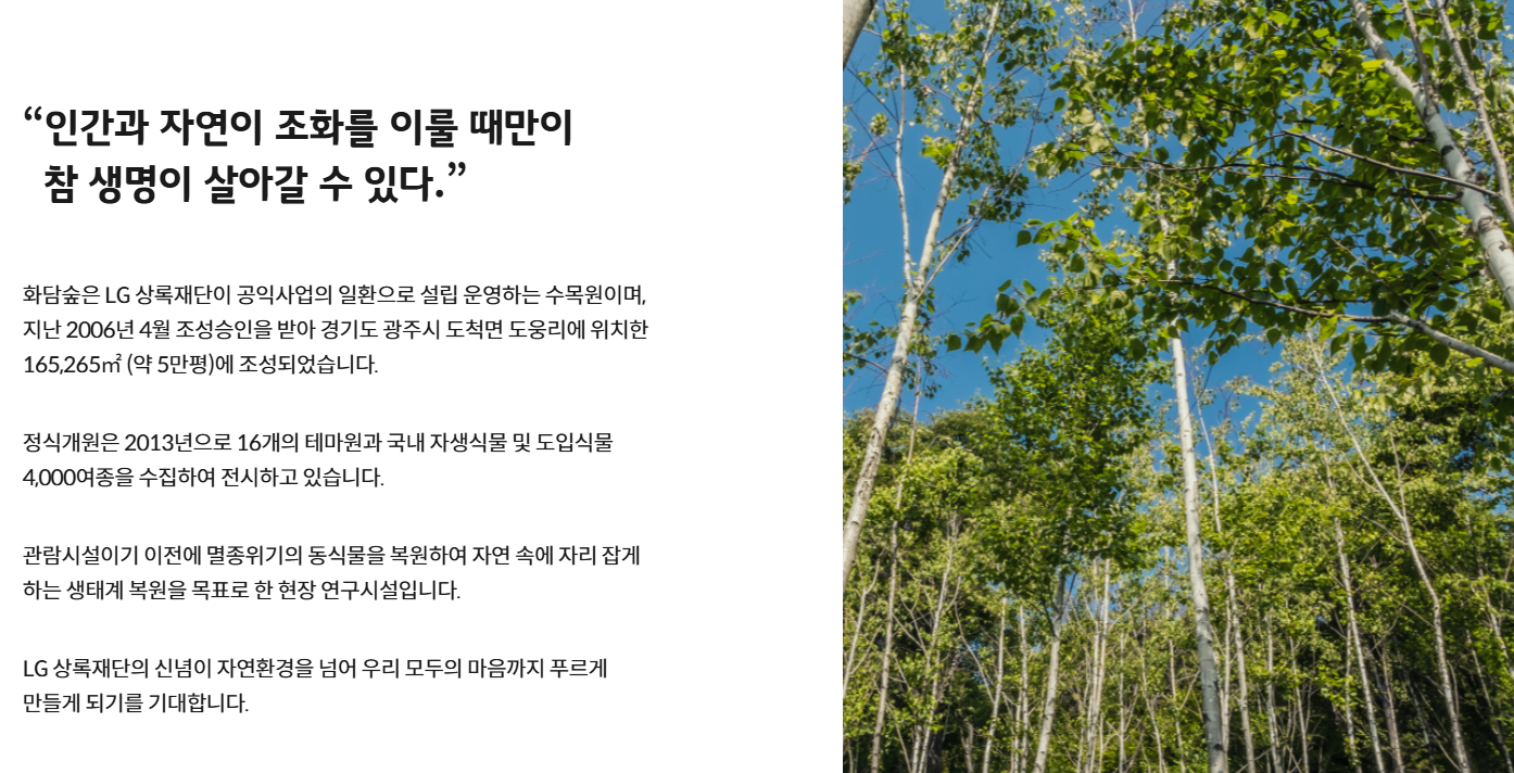 2026 화담숲 벚꽃 개화시기 + 예약 꿀팁 (실제 방문 후기)