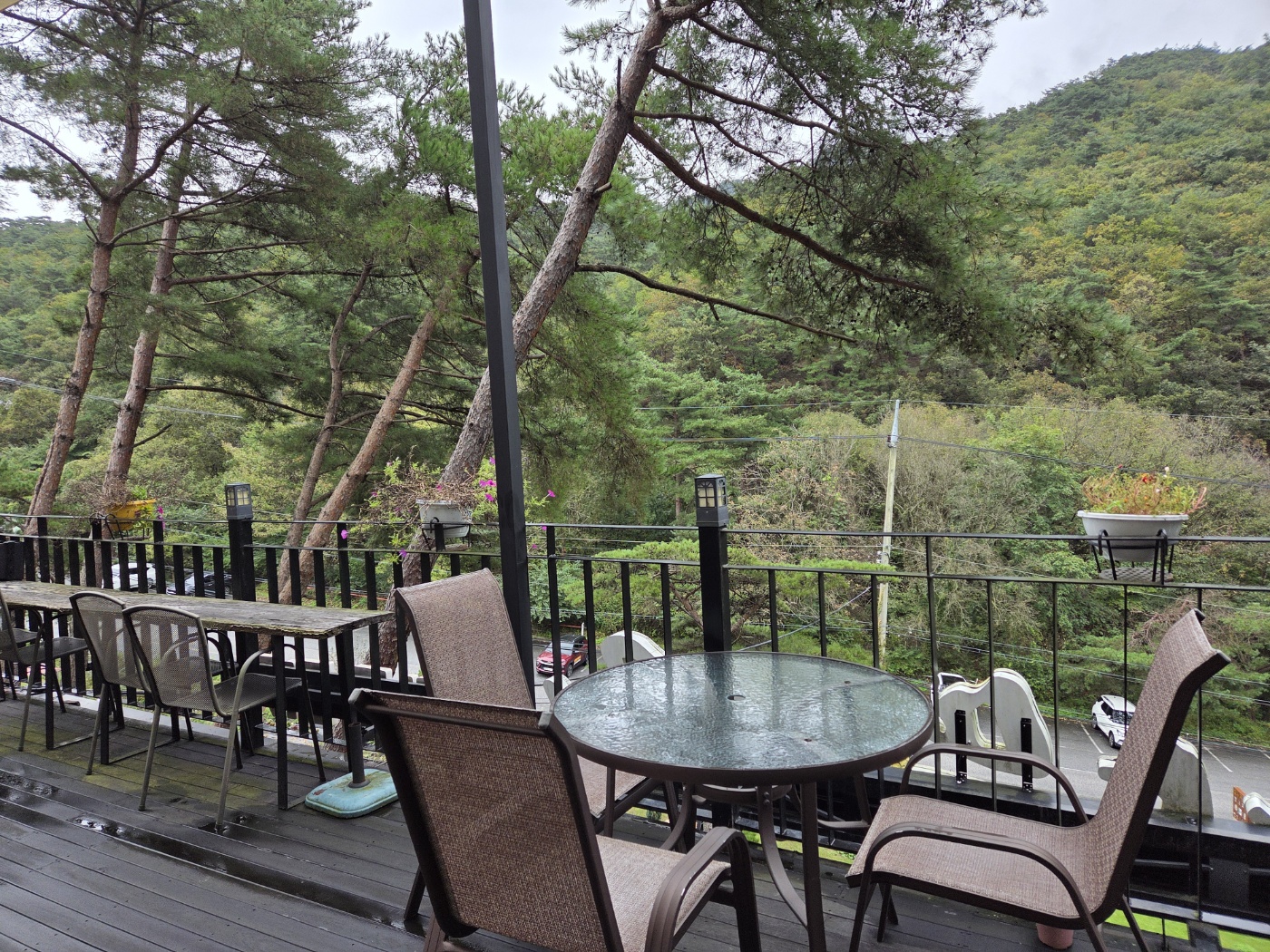 제천 화덕피자 맛집