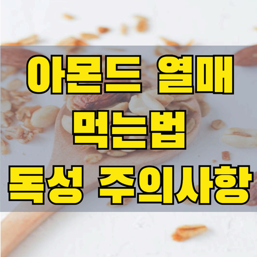 아몬드 우유, 스프레드, 볶음까지 건강하게 먹는 법