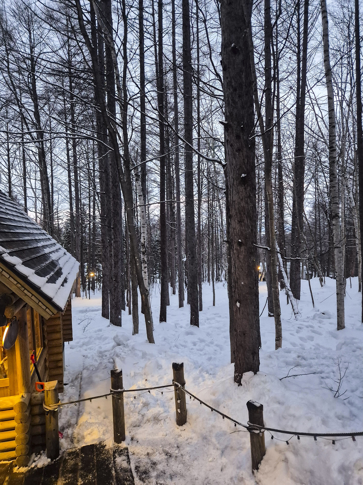 닝구르테라스 실제 사진 4