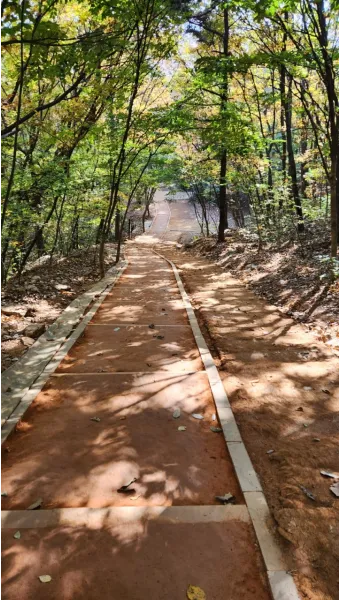 황토길 맨발걷기 효능 부작용 무좀_18