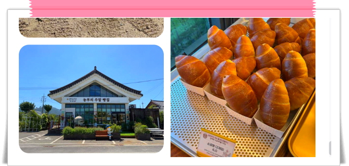 생활의 달인 자급자족제빵의달인 옥수수빵 맷돌메밀빵 후기