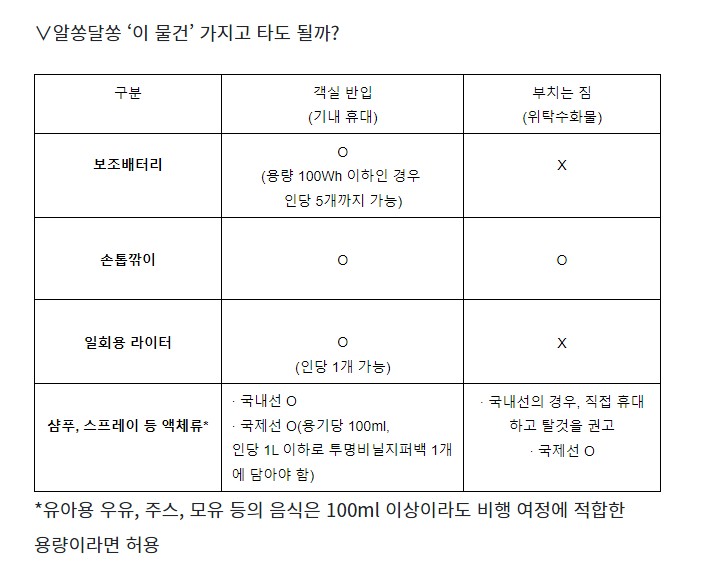 비행기 탑승전 유의사항