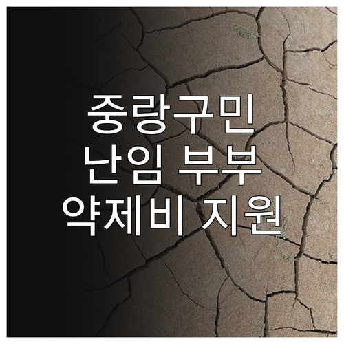 중랑구 난임 지원, 2025년 약제비..