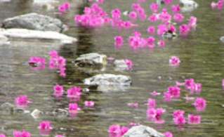 청송 주왕산국립공원 & 대전사 관련 사진