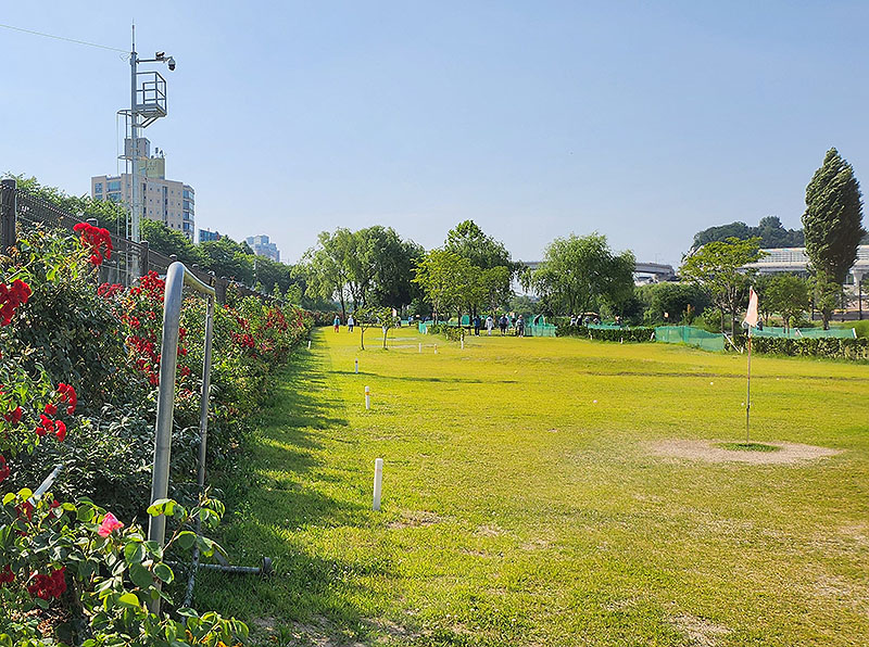 서울	영등포구 양평누리파크골프장 소개