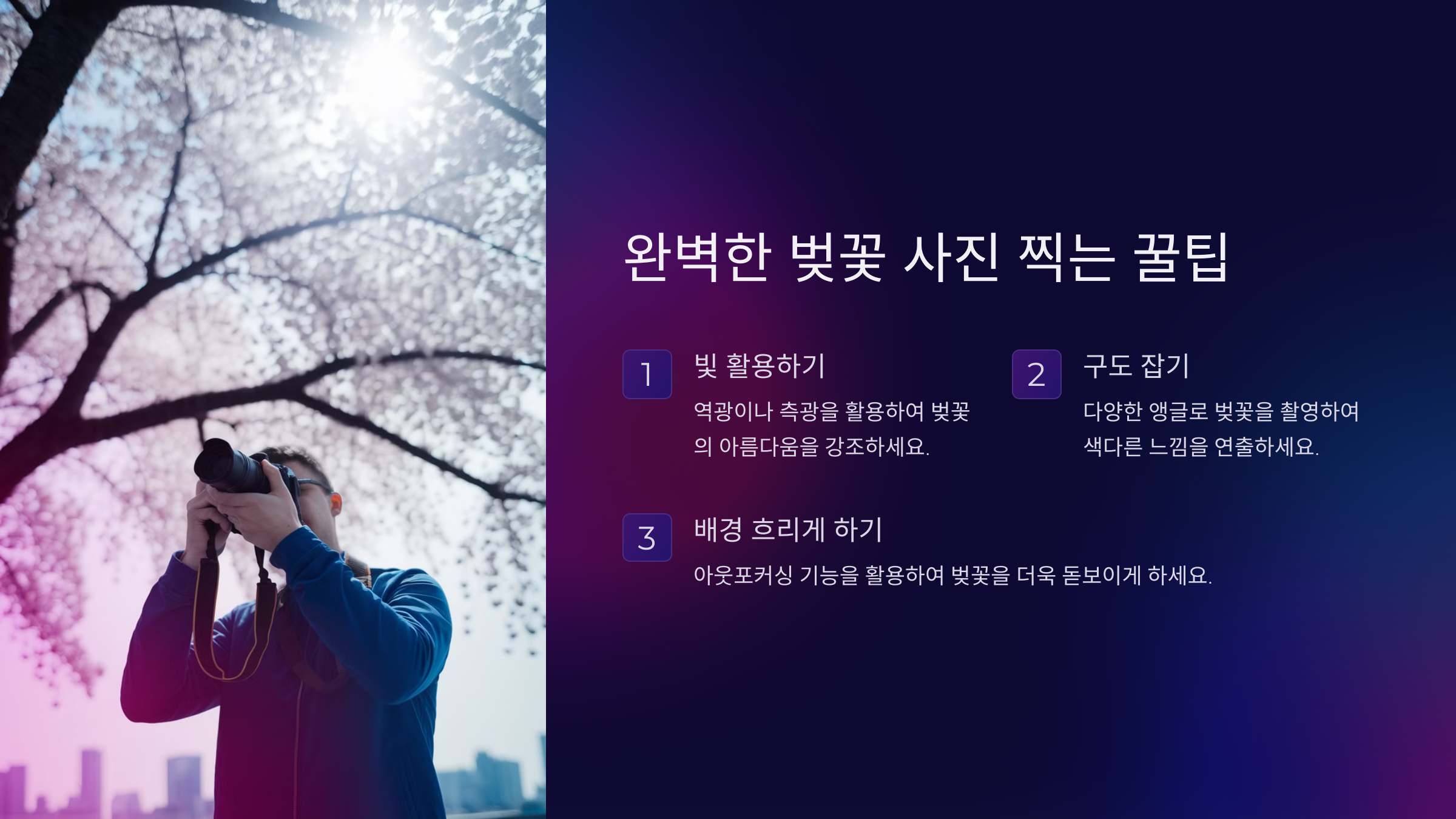 전국 벚꽃 명소 추천