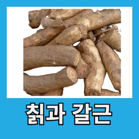 "직장인 숙취해소 칡 갈근"
