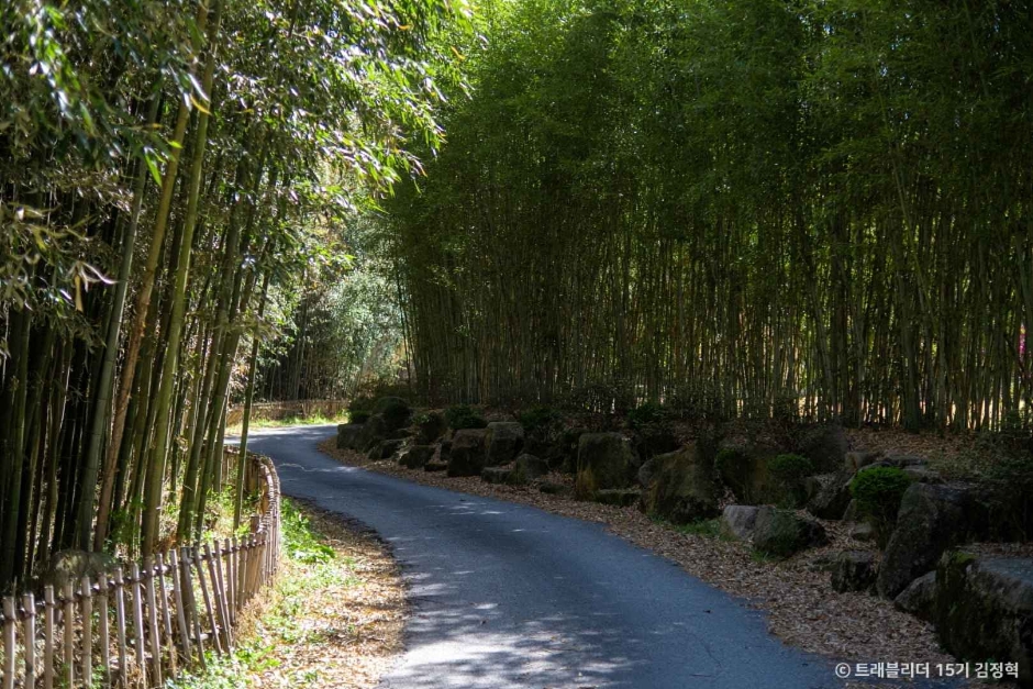 익산 가볼만한곳 베스트10