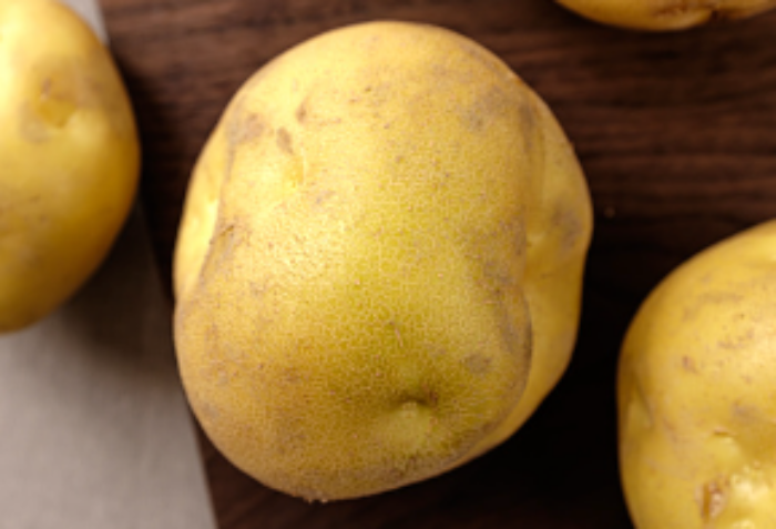 근육을 이완 시키고 스트레스를 완화시켜주는데 도움