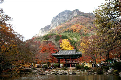 전북 정읍 백양사 가을 트레킹 : 늦가을 단풍 산책코스 &amp; 백학봉 포토존 추천