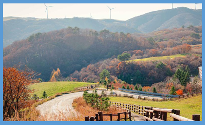 삼양라운드힐-풍경