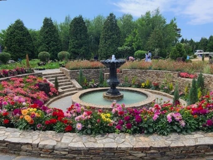 2025 파주 벽초지수목원 튤립축제 총정리 사진