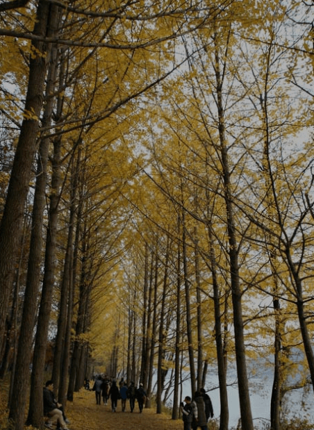 서울근교 단풍명소 추천