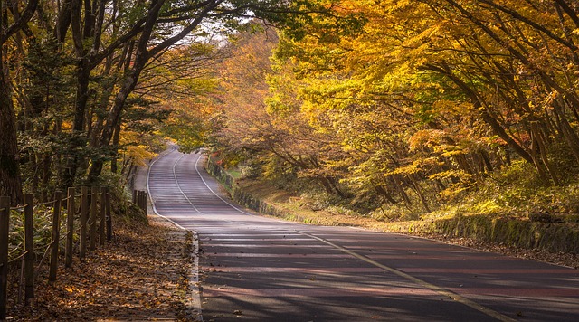 제주도 성산일출봉 오름 추천 코스 비교 