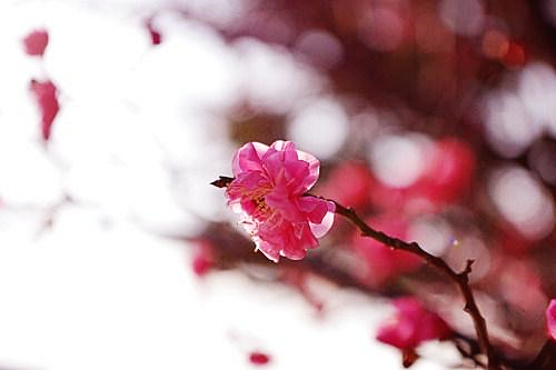부산 유엔공원