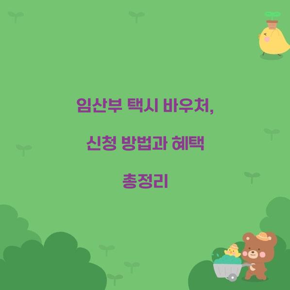 임산부 택시 바우처