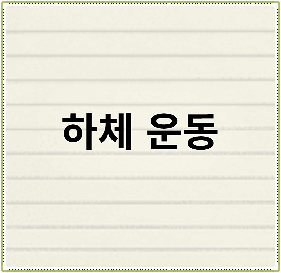 하체 운동