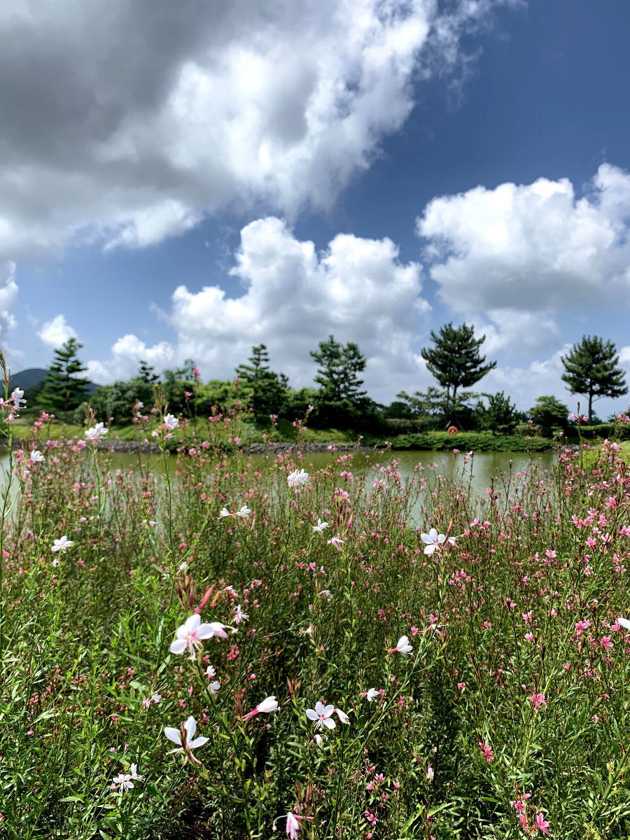 에버리스 골프 리조트 풍광