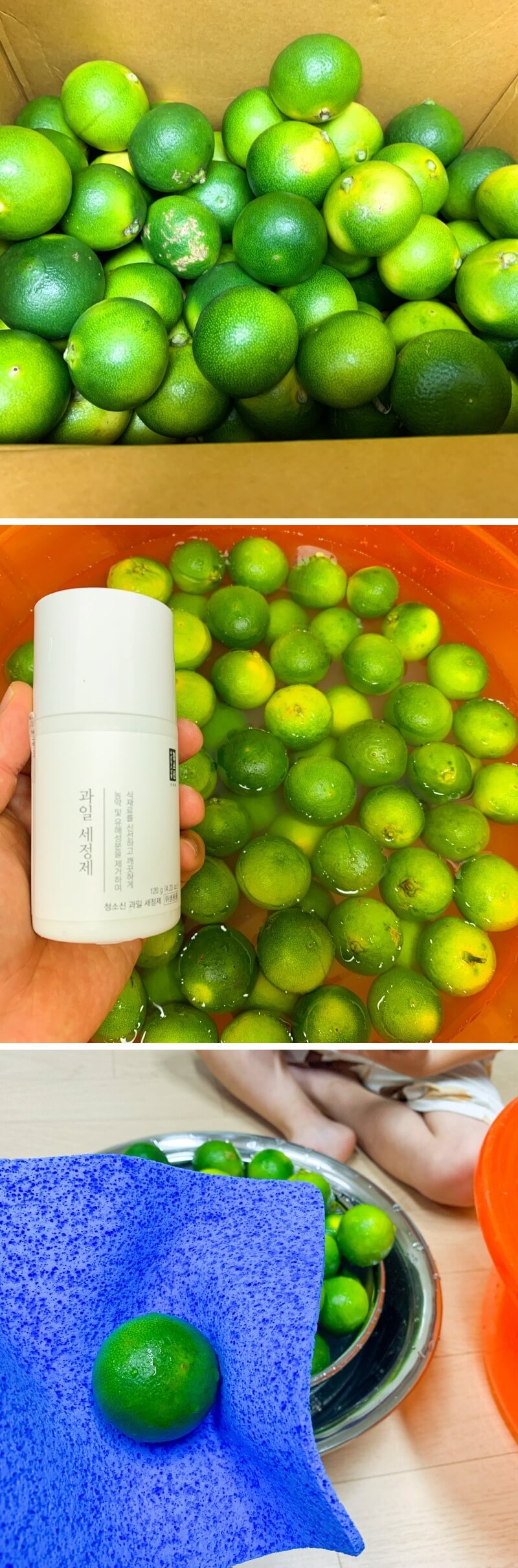 청귤_세척방법