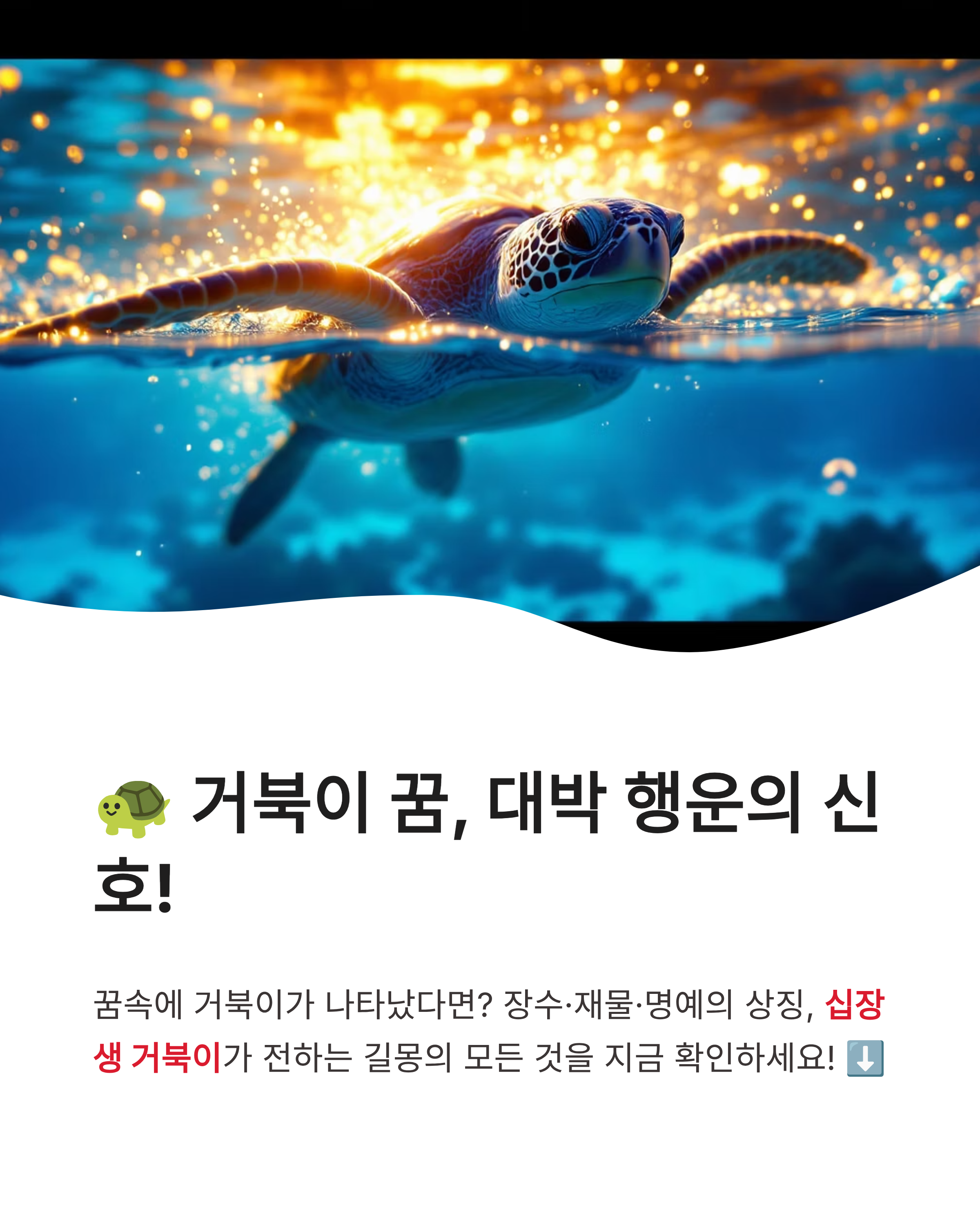 거북이 꿈 해몽 ❘ 집으로 들어오는 큰 거북이 만지는 꿈까지? 장수와 대박 재물운의 상징 완벽 정리!