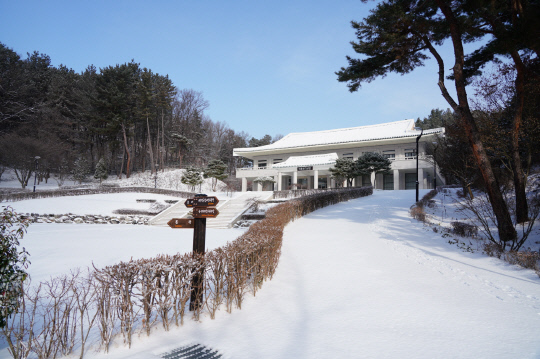 충청권 겨울에 걷기 좋은 숲길 & 트레킹 추천 BEST 7