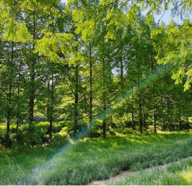 서울 지하철 근교 숲길 트레킹 코스 추천 TOP 5