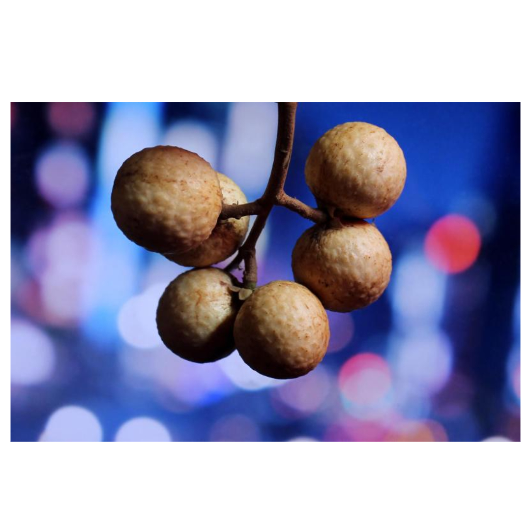 여주와 관련된 사진입니다.