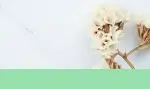 면역력 높이는 법