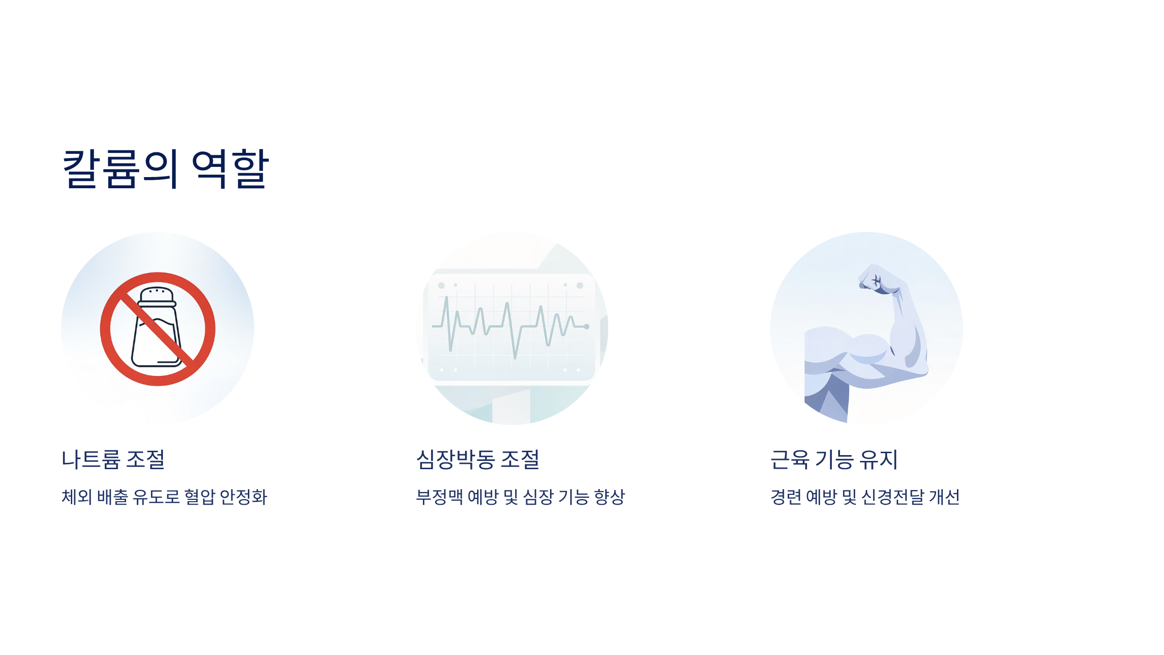 콜라비 효능 정말 놀라운 4가지
